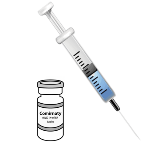 Comirnaty劑型示意圖