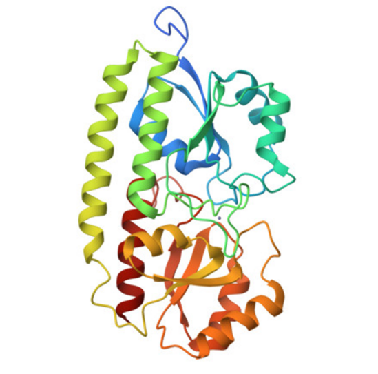 Prevnar 家族結構示意圖 