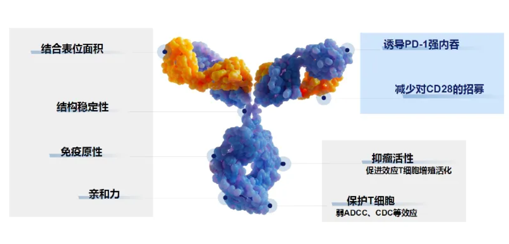 H藥自身的分子差異化