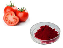 天然提取物番茄紅素 天然提取物番茄紅素