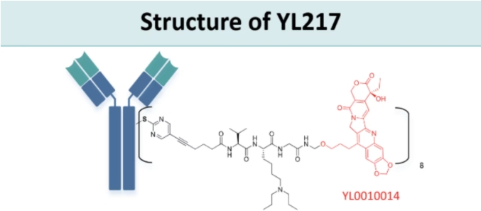 宜聯(lián)生物的CDH17 ADC——YL217也已經(jīng)進(jìn)入了臨床