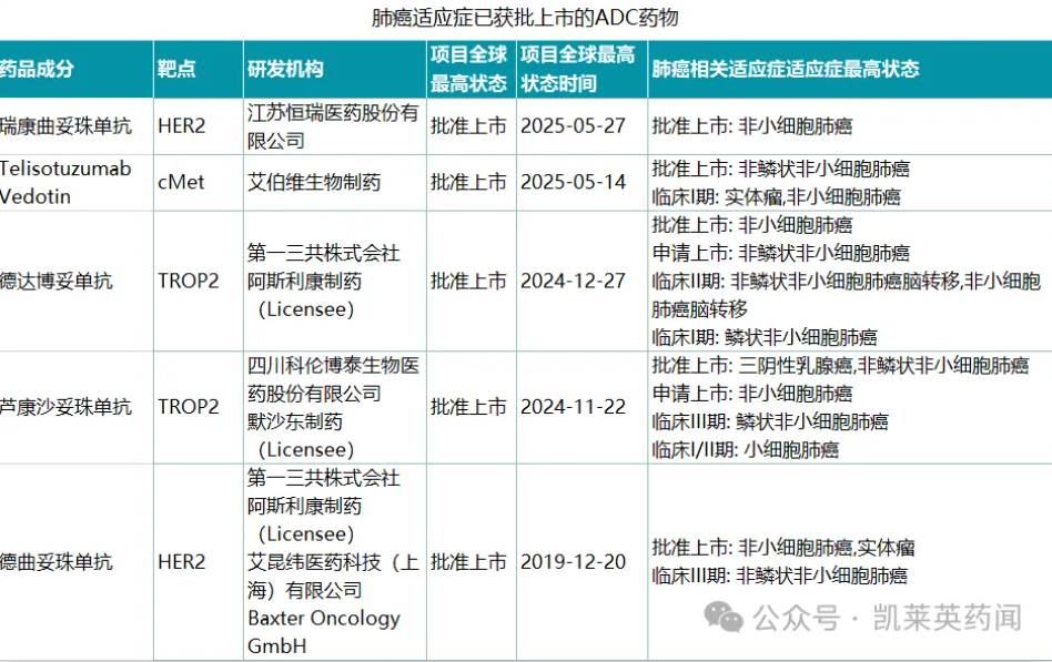 肺癌適應癥已獲批上市的ADC藥物