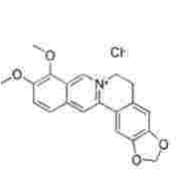 鹽酸小檗堿天然提取物 鹽酸小檗堿天然提取物