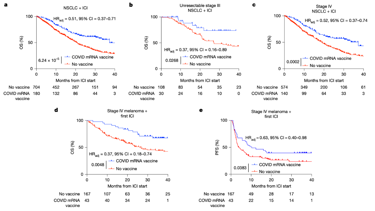 接種 SARS-CoV-2 mRNA 疫苗與生存率提高有關(guān).png 接種 SARS-CoV-2 mRNA 疫苗與生存率提高有關(guān).png