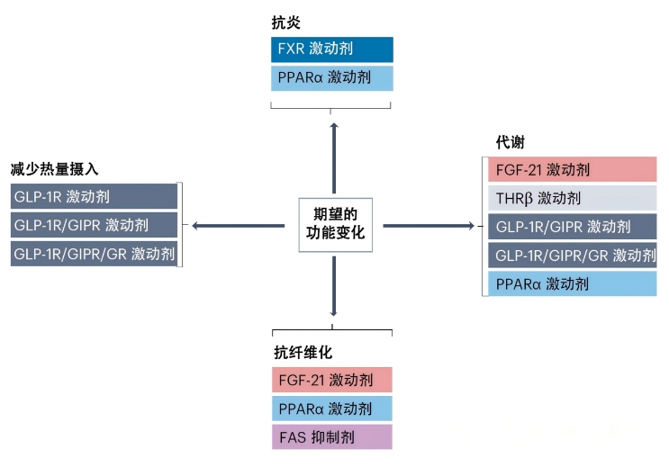 MASH治療的主要功能變化目標(biāo)