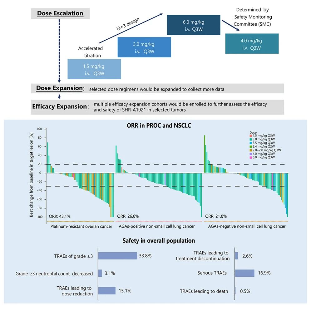 ORR in PROC and NSCLC.jpg ORR in PROC and NSCLC.jpg