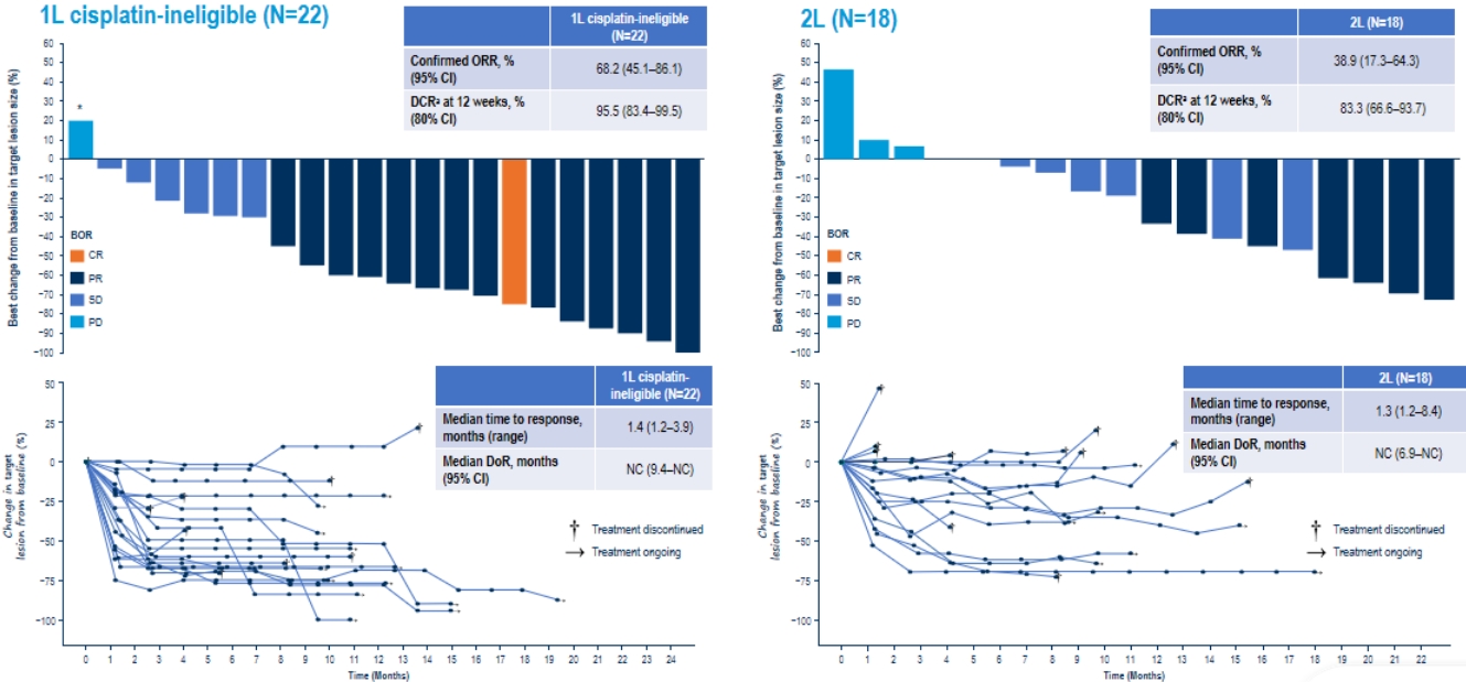 Dato-DXd+Rilvegostomig治療局晚期或轉(zhuǎn)移性尿路上皮癌患者的療效 Dato-DXd+Rilvegostomig治療局晚期或轉(zhuǎn)移性尿路上皮癌患者的療效