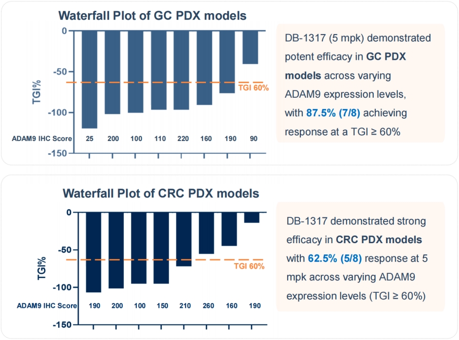 ADAM9這個靶點與相應管線DB-1317 ADAM9這個靶點與相應管線DB-1317