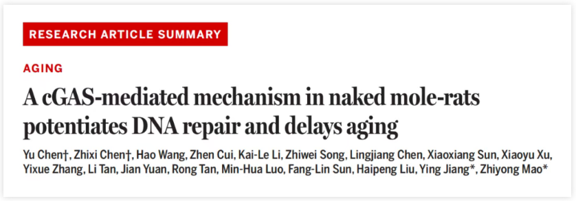 RESEARCH ARTICLE SUMMARY..png RESEARCH ARTICLE SUMMARY..png