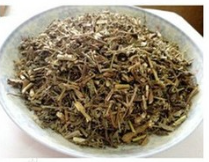 馬鞭草提取物 馬鞭草提取物