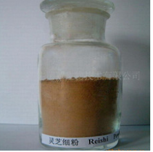 靈芝發(fā)酵菌粉 靈芝發(fā)酵菌粉