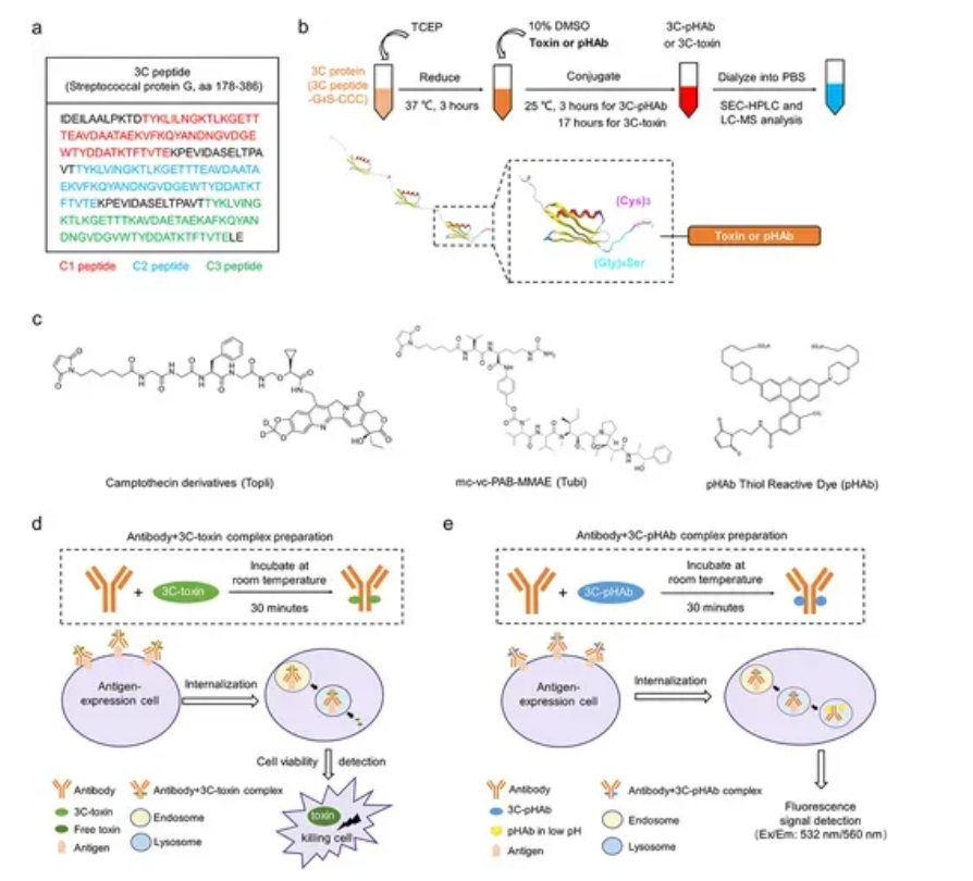 化學(xué)方程式表達(dá) 化學(xué)方程式表達(dá)