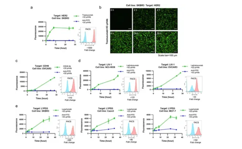 實(shí)驗(yàn)結(jié)果 實(shí)驗(yàn)結(jié)果