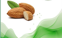 核桃仁提取物 核桃仁提取物