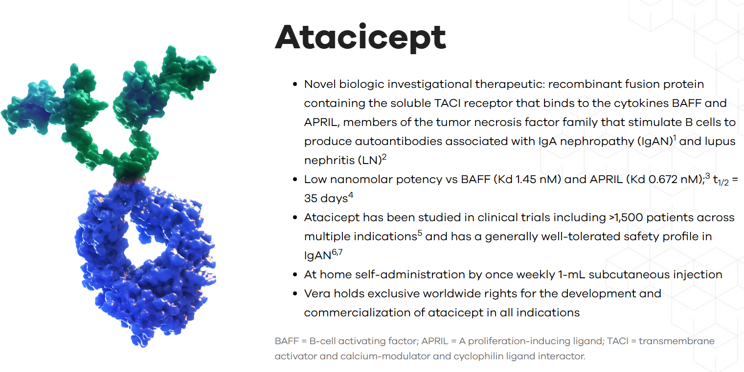 Atacicept.png
