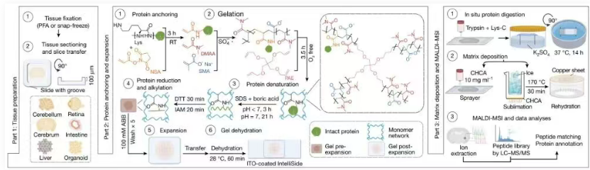iPEX 技術(shù)流程1.png