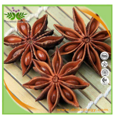 八角蓮提取物 八角蓮提取物