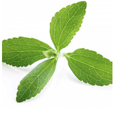 甜葉菊提取物 甜葉菊提取物