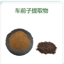 車前子提取物