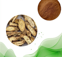 防風(fēng)草提取物 防風(fēng)草提取物