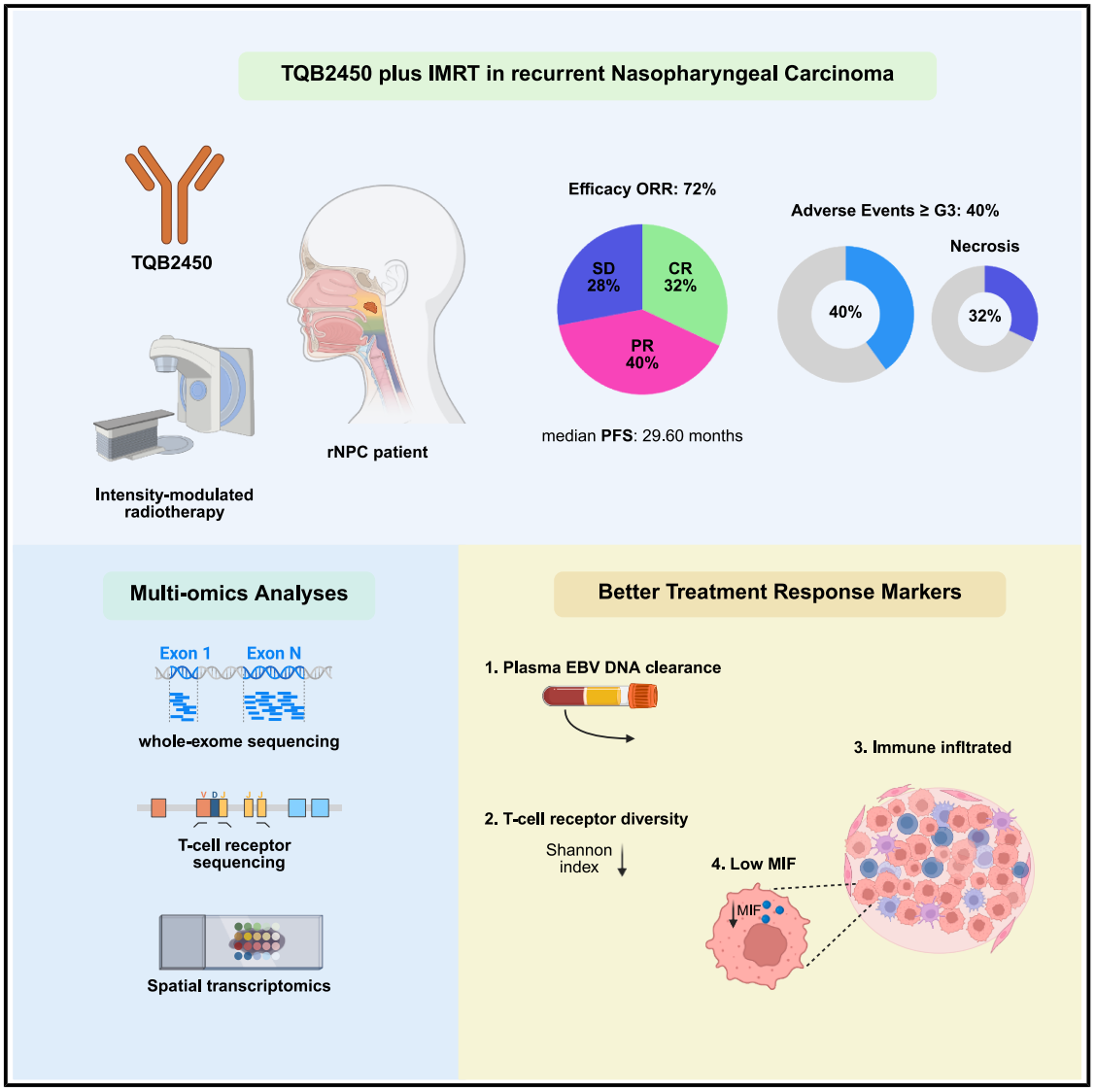 TQB2450 plus lMRT in recurrent Nasopharyngeal Carcinoma.png