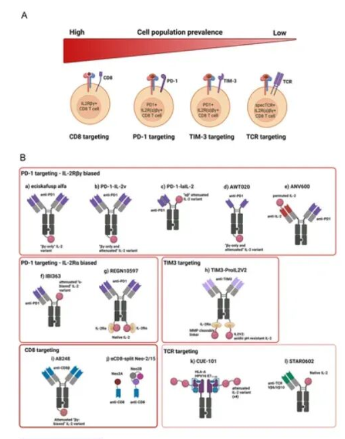 去除IL2-CD25的結合面