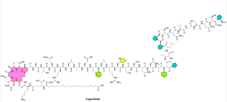 semaglutide semaglutide